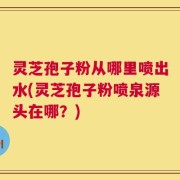 灵芝孢子粉从哪里喷出水(灵芝孢子粉喷泉源头在哪？)