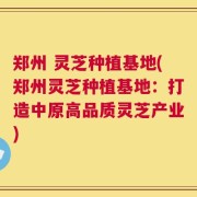 郑州 灵芝种植基地(郑州灵芝种植基地：打造中原高品质灵芝产业)