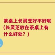 茶桌上长灵芝好不好呢(长灵芝放在茶桌上有什么好处？)
