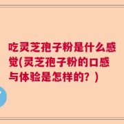 吃灵芝孢子粉是什么感觉(灵芝孢子粉的口感与体验是怎样的？)