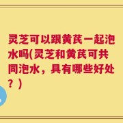 灵芝可以跟黄芪一起泡水吗(灵芝和黄芪可共同泡水，具有哪些好处？)