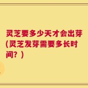 灵芝要多少天才会出芽(灵芝发芽需要多长时间？)