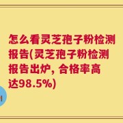 怎么看灵芝孢子粉检测报告(灵芝孢子粉检测报告出炉, 合格率高达98.5%)