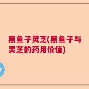 黑鱼子灵芝(黑鱼子与灵芝的药用价值)