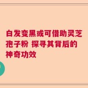 白发变黑或可借助灵芝孢子粉 探寻其背后的神奇功效