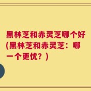 黑林芝和赤灵芝哪个好(黑林芝和赤灵芝：哪一个更优？)