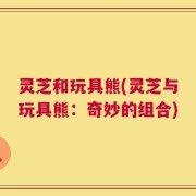 灵芝和玩具熊(灵芝与玩具熊：奇妙的组合)