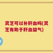 灵芝可以补肝血吗(灵芝有助于肝血益气)