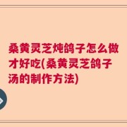 桑黄灵芝炖鸽子怎么做才好吃(桑黄灵芝鸽子汤的制作方法)