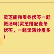 灵芝能和麦冬伏苓一起煲汤吗(灵芝搭配麦冬伏苓，一起煲汤妙用多)