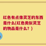 红色有点像灵芝的东西是什么(红色类似灵芝的物品是什么？)