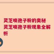 灵芝喷孢子粉的奥秘 灵芝喷孢子粉现象全解析