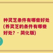 种灵芝条件有哪些好处(养灵芝的条件有哪些好处？- 简化版)