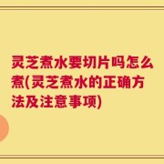 灵芝煮水要切片吗怎么煮(灵芝煮水的正确方法及注意事项)