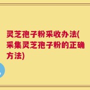 灵芝孢子粉采收办法(采集灵芝孢子粉的正确方法)