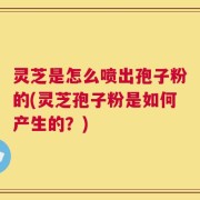 灵芝是怎么喷出孢子粉的(灵芝孢子粉是如何产生的？)