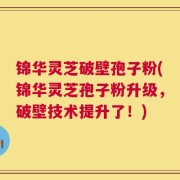 锦华灵芝破壁孢子粉(锦华灵芝孢子粉升级，破壁技术提升了！)