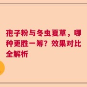 孢子粉与冬虫夏草，哪种更胜一筹？效果对比全解析