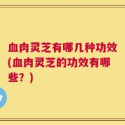 血肉灵芝有哪几种功效(血肉灵芝的功效有哪些？)