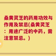 桑黄灵芝的药用功效与作用及禁忌(桑黄灵芝：用途广泛的中药，需注意禁忌。)