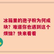冰箱里的孢子粉为何成块？难道你也遇到这个烦恼？快来看看