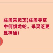 庄周采灵芝(庄周寻草中何惧龙蛇，采灵芝更显神通)