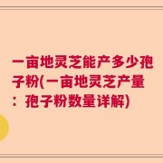 一亩地灵芝能产多少孢子粉(一亩地灵芝产量：孢子粉数量详解)