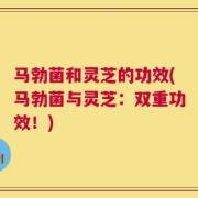 马勃菌和灵芝的功效(马勃菌与灵芝：双重功效！)