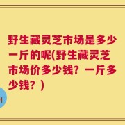 野生藏灵芝市场是多少一斤的呢(野生藏灵芝市场价多少钱？一斤多少钱？)