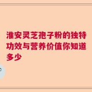 淮安灵芝孢子粉的独特功效与营养价值你知道多少