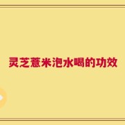 灵芝薏米泡水喝的功效