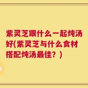 紫灵芝跟什么一起炖汤好(紫灵芝与什么食材搭配炖汤最佳？)