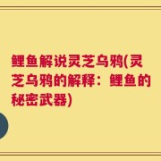 鲤鱼解说灵芝乌鸦(灵芝乌鸦的解释：鲤鱼的秘密武器)
