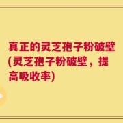 真正的灵芝孢子粉破壁(灵芝孢子粉破壁，提高吸收率)