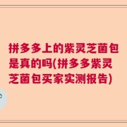 拼多多上的紫灵芝菌包是真的吗(拼多多紫灵芝菌包买家实测报告)