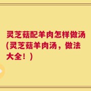 灵芝菇配羊肉怎样做汤(灵芝菇羊肉汤，做法大全！)