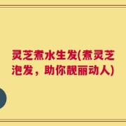 灵芝煮水生发(煮灵芝泡发，助你靓丽动人)