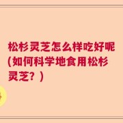 松杉灵芝怎么样吃好呢(如何科学地食用松杉灵芝？)