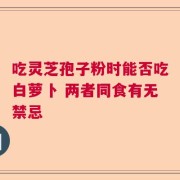 吃灵芝孢子粉时能否吃白萝卜 两者同食有无禁忌