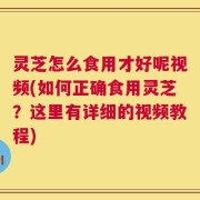 灵芝怎么食用才好呢视频(如何正确食用灵芝？这里有详细的视频教程)