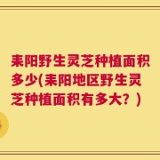 耒阳野生灵芝种植面积多少(耒阳地区野生灵芝种植面积有多大？)