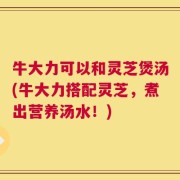 牛大力可以和灵芝煲汤(牛大力搭配灵芝，煮出营养汤水！)