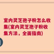 室内灵芝孢子粉怎么收集(室内灵芝孢子粉收集方法，全面指南)