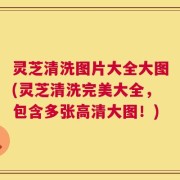 灵芝清洗图片大全大图(灵芝清洗完美大全，包含多张高清大图！)