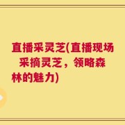 直播采灵芝(直播现场  采摘灵芝，领略森林的魅力)