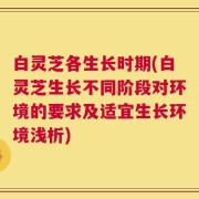 白灵芝各生长时期(白灵芝生长不同阶段对环境的要求及适宜生长环境浅析)