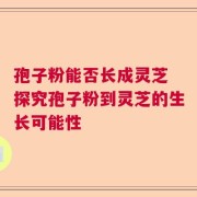 孢子粉能否长成灵芝 探究孢子粉到灵芝的生长可能性