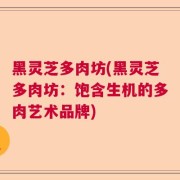 黑灵芝多肉坊(黑灵芝多肉坊：饱含生机的多肉艺术品牌)