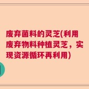 废弃菌料的灵芝(利用废弃物料种植灵芝，实现资源循环再利用)