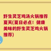 野生灵芝鸡汤火锅推荐夏天(夏日必点！健康美味的野生灵芝鸡火锅推荐)